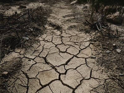 Limpopo farmers could shed jobs due to water shortages