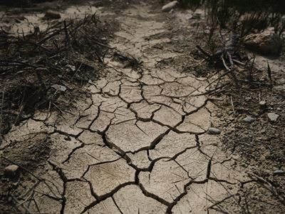 Limpopo farmers could shed jobs due to water shortages