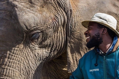 Tragic loss of elephant guide