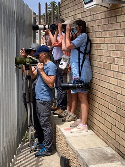 Photographers still going gaga over gull