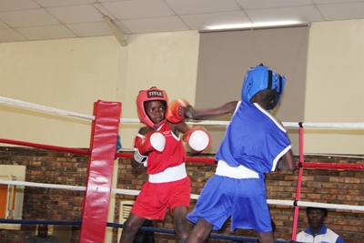 Boxing tournament attracts many