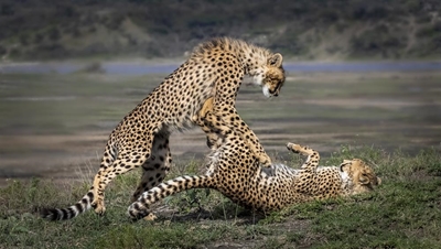 March's winning photographs