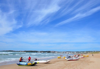 Trans Agulhas moet skuif