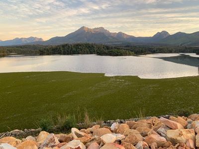 Garden Route Dam: Kariba weed controlled