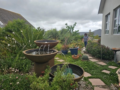 Plesier uit 'n waterskaars tuin