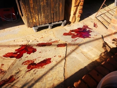 Man shot dead in latest Pretoria farm attack on Thursday morning