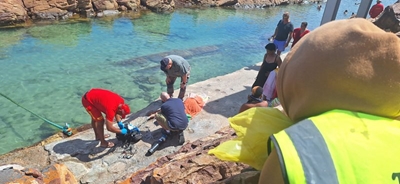 Nuwe inligting oor Poort-voorval