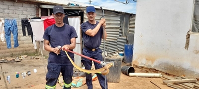 Wees gewaarsku - dis slangtyd