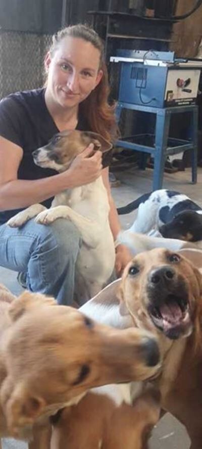 Borcherds Paws project : Sterilise to save lives 