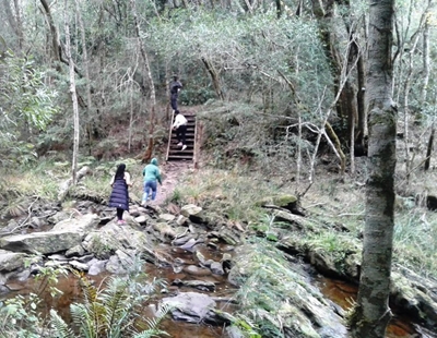 Tourists mugged on hiking trail