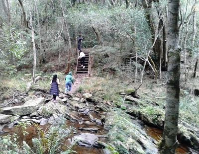 Tourists mugged on hiking trail