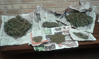 Man arrested for dagga