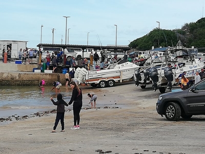 Stilbaai hawe kook