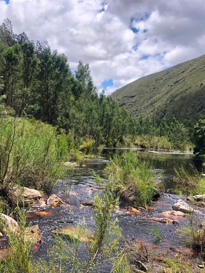 Plett launches pilgrimage to showcase region's beauty