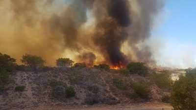 Vegetation fire burning