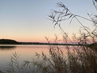 Estuary management plans: Open for public comment