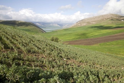 What happens if SA expropriates land without compensation? 