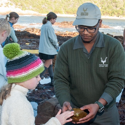 SANParks hosts guided rock pool tour