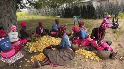 Limpopo plans multi-million rand marula hub