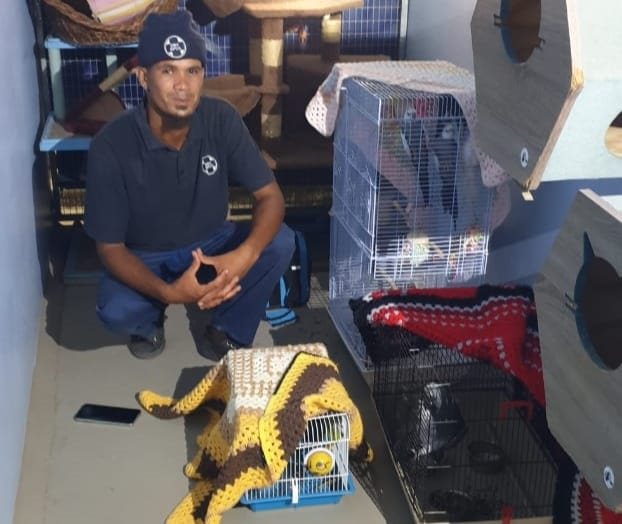 Animals rescued as Mossel Bay fire rages