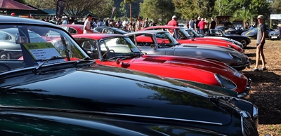 Knysna Oyster Festival kicks off with successful weekend 