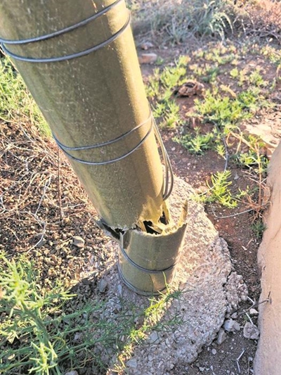 New fencing pipes curb theft