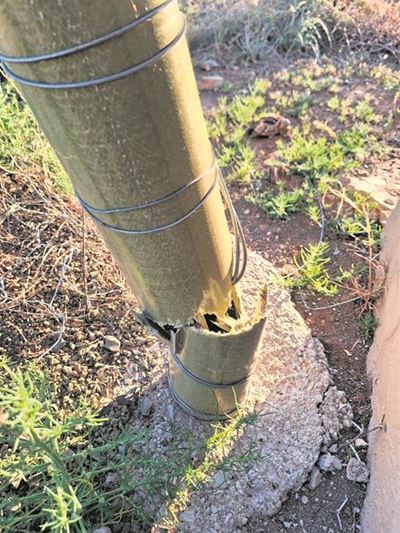 New fencing pipes curb theft