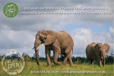 Enjoy a breath of fresh air on a walk in the Knysna Elephant Park