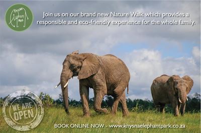 Enjoy a breath of fresh air on a walk in the Knysna Elephant Park