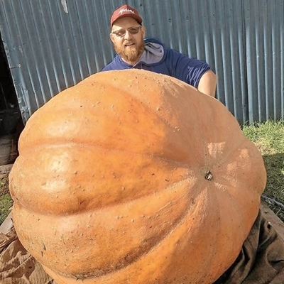 Pumpkin fun for all