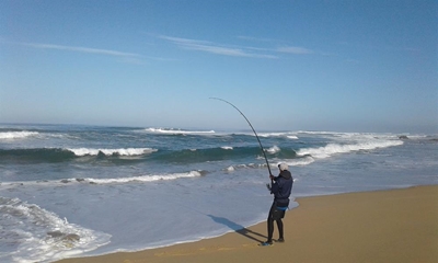 A fine old fishy affair