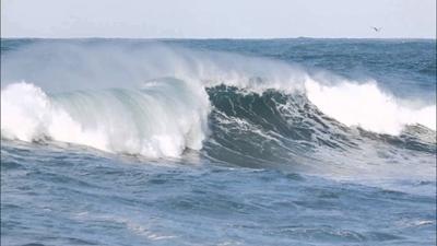 Damaging wind warning ahead of cold front