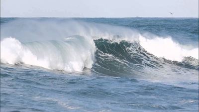 Damaging wind warning ahead of cold front