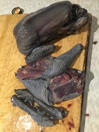 Yes, black chickens exist, and Twitter is egg-cited