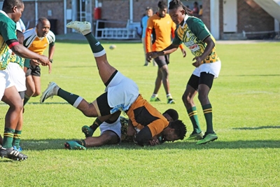 Greater Knysna dims Eagle Stars' light