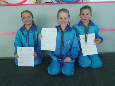 Dolphins gymnasts excel