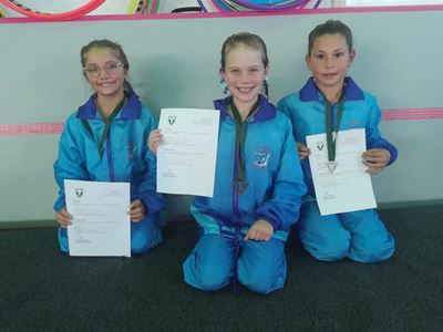 Dolphins gymnasts excel