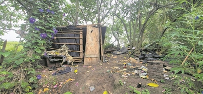 Forest hut not fit for fairies