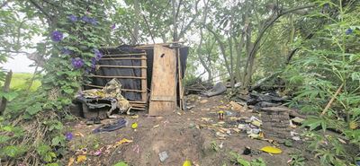 Forest hut not fit for fairies