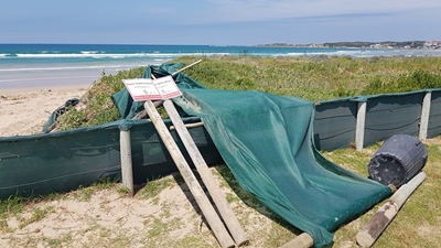 Stilbaai se duine weer in die kollig