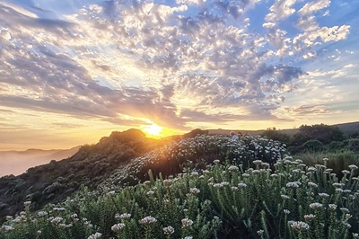 Knysna Oyster Festival: The excitement is building!