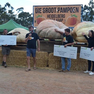 Heidelberg se Pampoenfees begin Donderdag