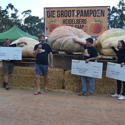 Heidelberg se Pampoenfees begin Donderdag