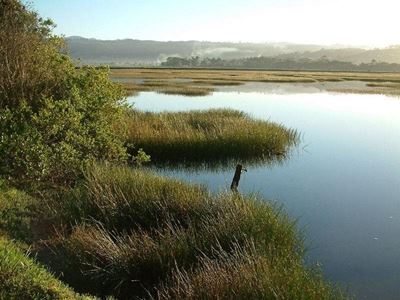 Garden Route marks World Wetlands Day