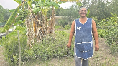 Annie Solomons: The shining light of Wilderness Heights