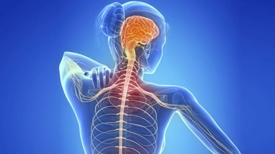World Multiple Sclerosis Day: What you need to know
