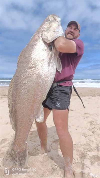 Spog kabeljou uit Danabaai-waters