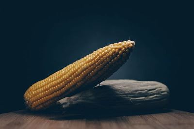 SA to deliver maize meal to support Zimbabwe's flooding victims