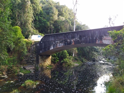 Truck driver sentenced for damage to Silver River Bridge