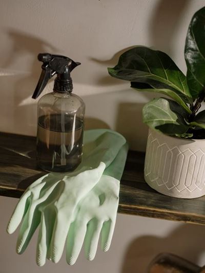 Homemade pesticides and repellents to protect your plants
